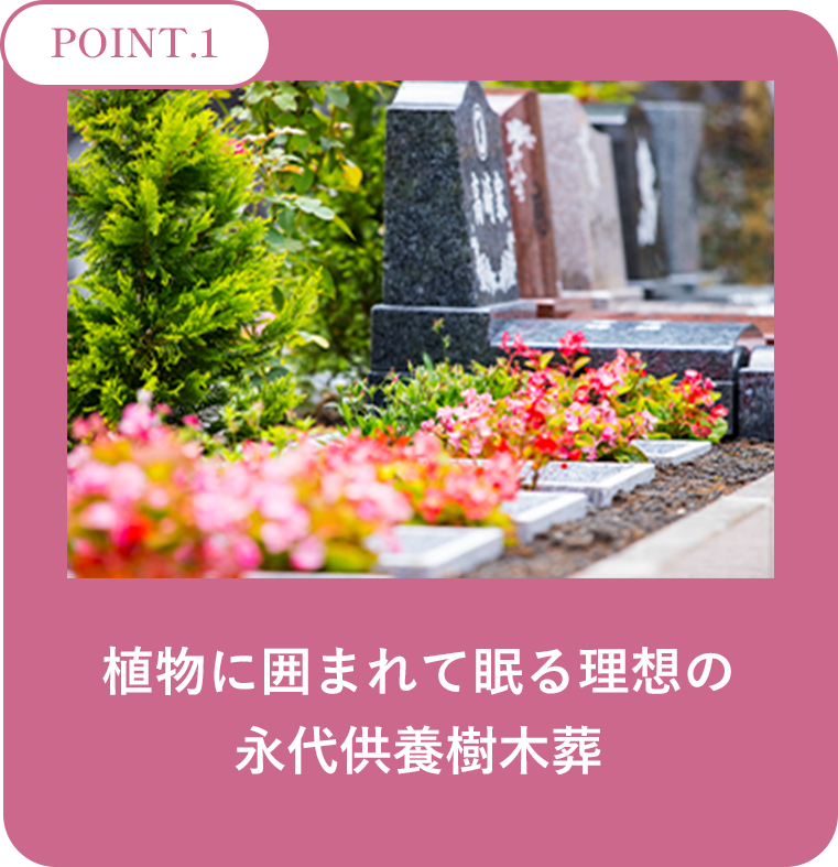 Point-1： 植物に囲まれて眠る理想の永代供養樹木葬